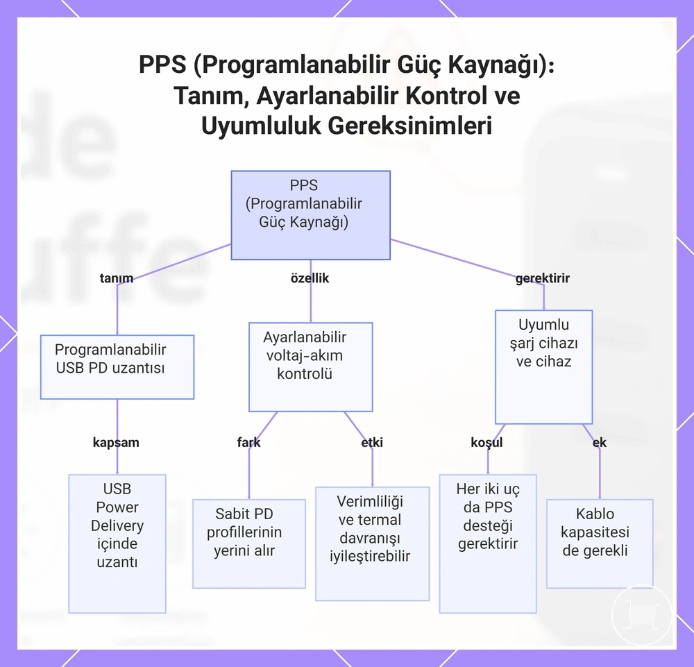 PPS (Programlanabilir Güç Kaynağı): Tanım, Ayarlanabilir Kontrol ve Uyumluluk Gereksinimleri